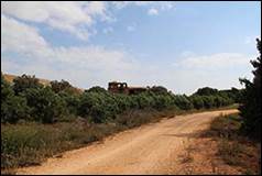 Une image contenant plein air, ciel, nuage, arbre

Description gnre automatiquement