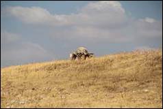 Une image contenant plein air, herbe, ciel, mammifre

Description gnre automatiquement