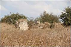 Une image contenant herbe, plein air, ciel, terrain

Description gnre automatiquement