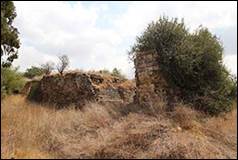 Une image contenant herbe, plein air, ciel, arbre

Description gnre automatiquement