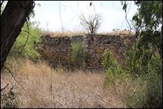 Une image contenant herbe, plein air, arbre, mammifre

Description gnre automatiquement