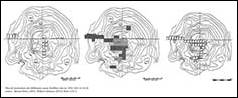 Une image contenant croquis, dessin, diagramme, squelette

Description gnre automatiquement