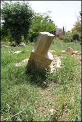 Une image contenant plein air, herbe, grave, plante

Description gnre automatiquement