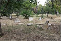 Une image contenant plein air, arbre, grave, cimeti�re

Le contenu g�n�r� par l�IA peut �tre incorrect.