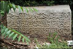 Une image contenant plein air, plante, b�timent, Plante couvre-sol

Le contenu g�n�r� par l�IA peut �tre incorrect.