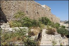 Une image contenant plein air, ciel, Ruines, plante

Description gnre automatiquement