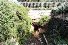 Une image contenant plein air, arbre, grotte, nature

Description gnre automatiquement