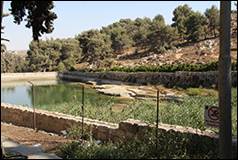 Une image contenant plein air, plante, eau, ciel

Description g�n�r�e automatiquement