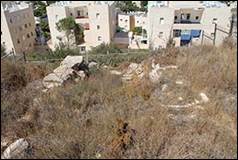 Une image contenant herbe, plein air

Description g�n�r�e automatiquement